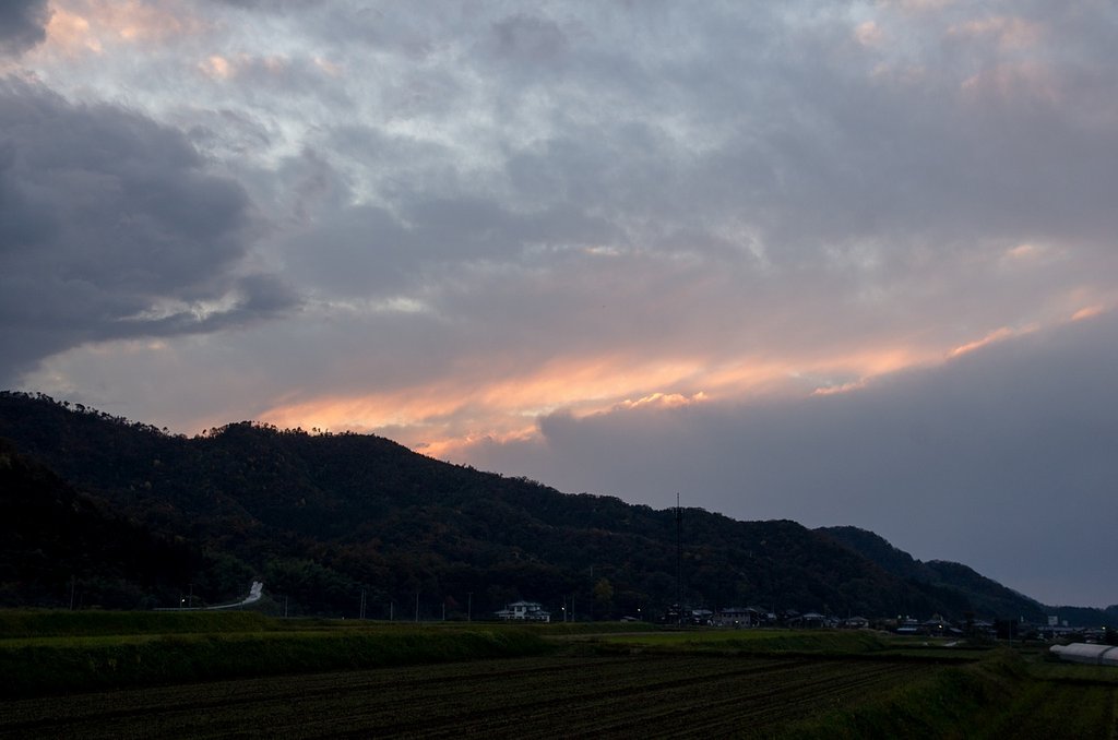 淡い夕焼け・・。