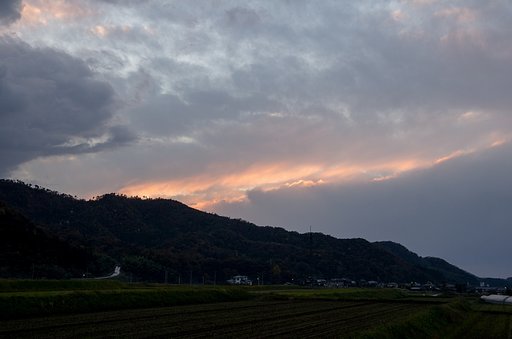 淡い夕焼け・・。