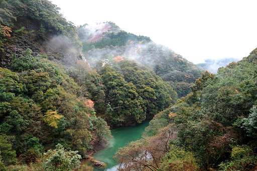 山の雨あがり