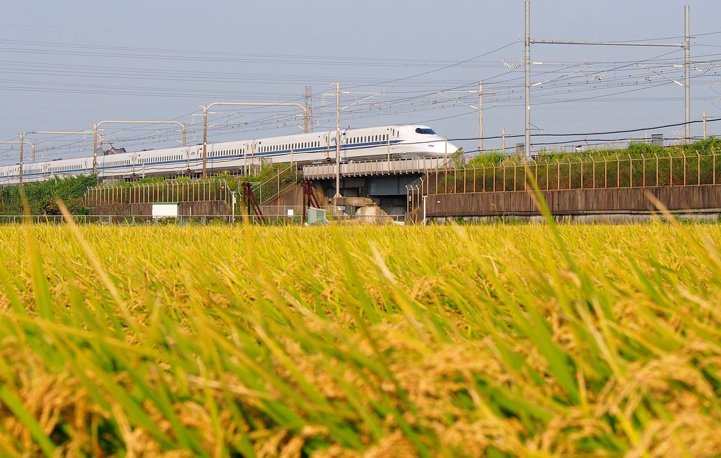 実り