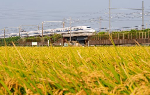 実り