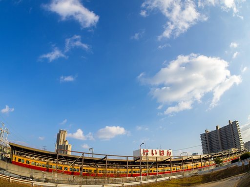 もうすぐ見納め