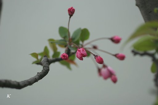 寒の戻り・・・
