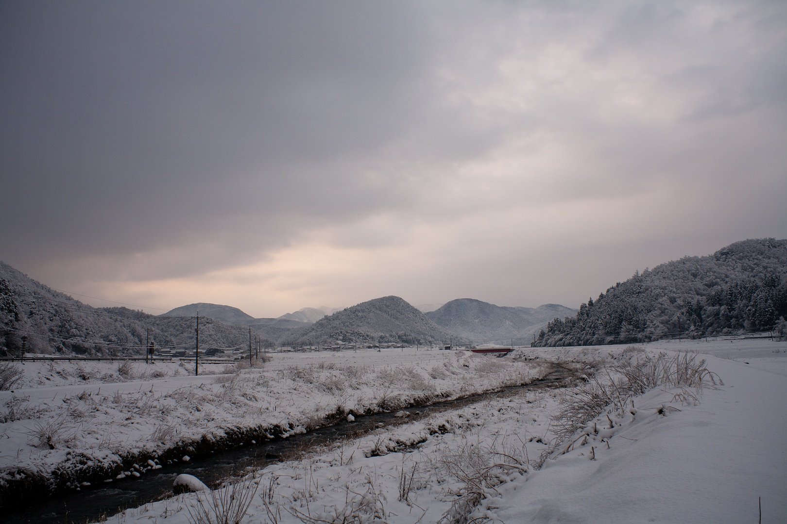 雪が降ってますが・・。