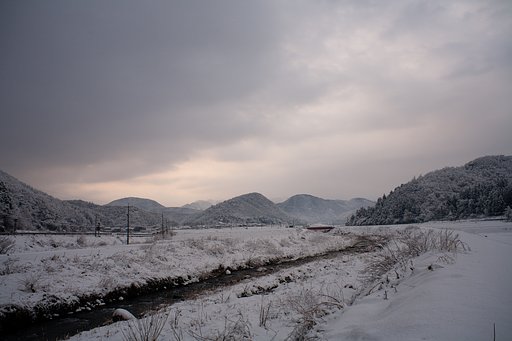 雪が降ってますが・・。