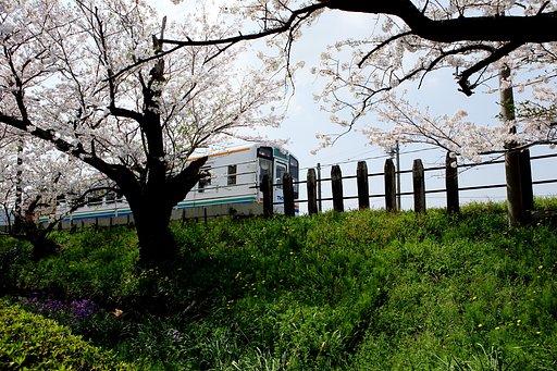 春の天竜浜名湖鉄道