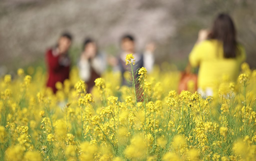 三人三様