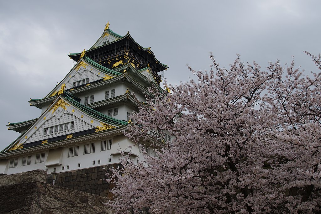 桜大阪城