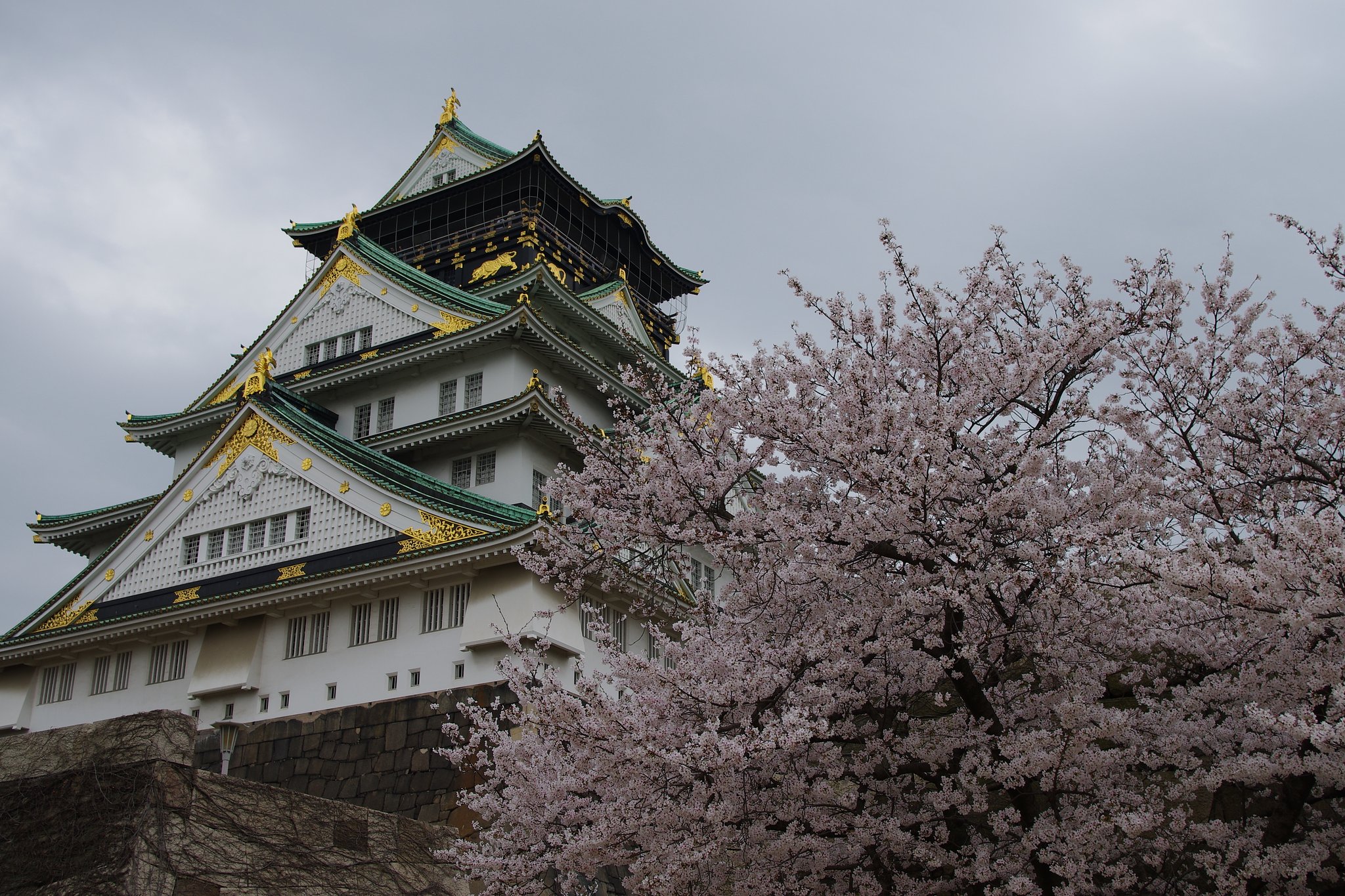 桜大阪城