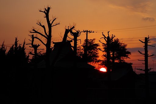 夕焼けのシルエット