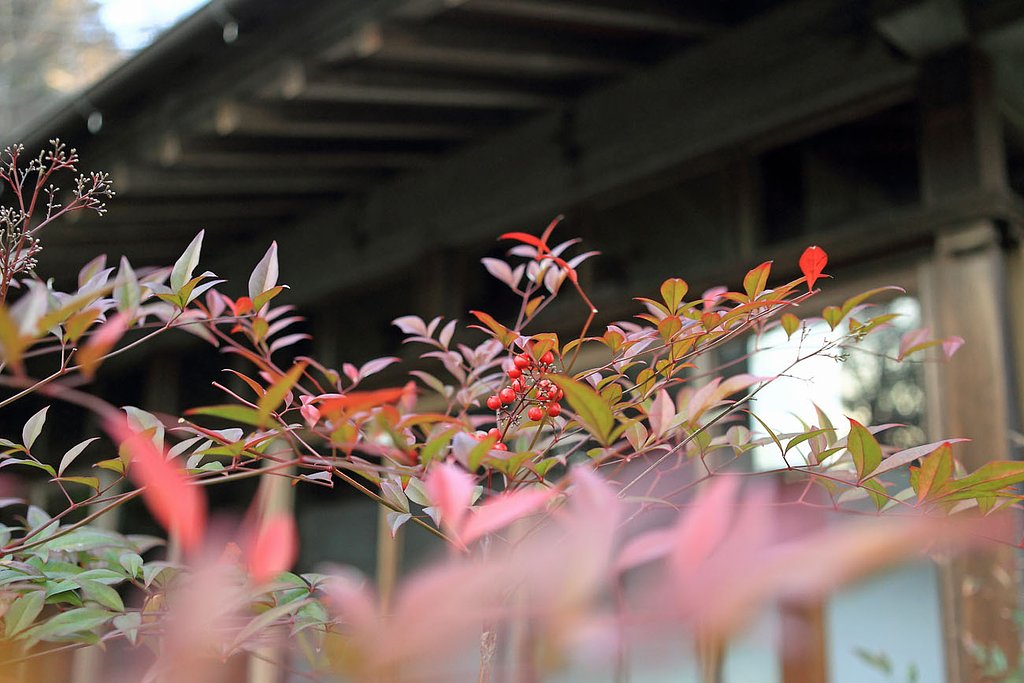 庭園