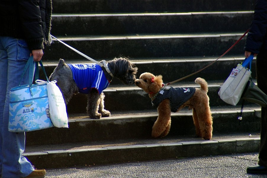 涙のニューレンズ
