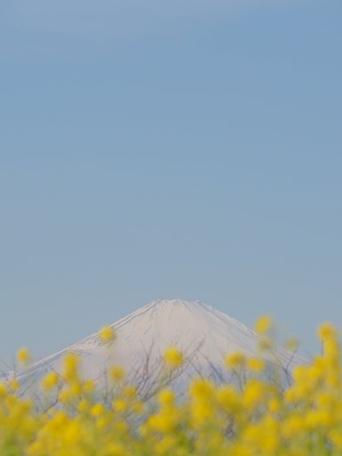 春の色