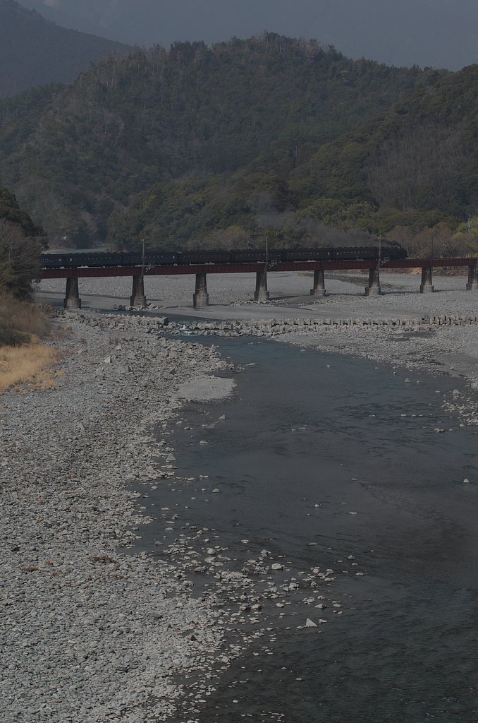 大井川快走