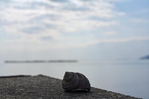 潮