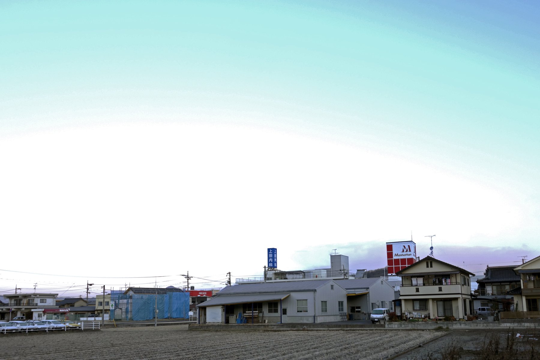 霜の降りた定点