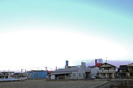 霜の降りた定点
