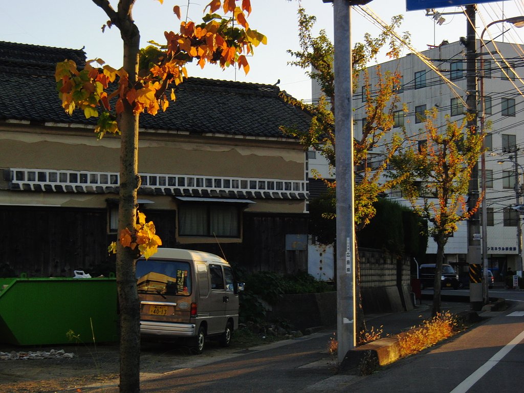 逆光