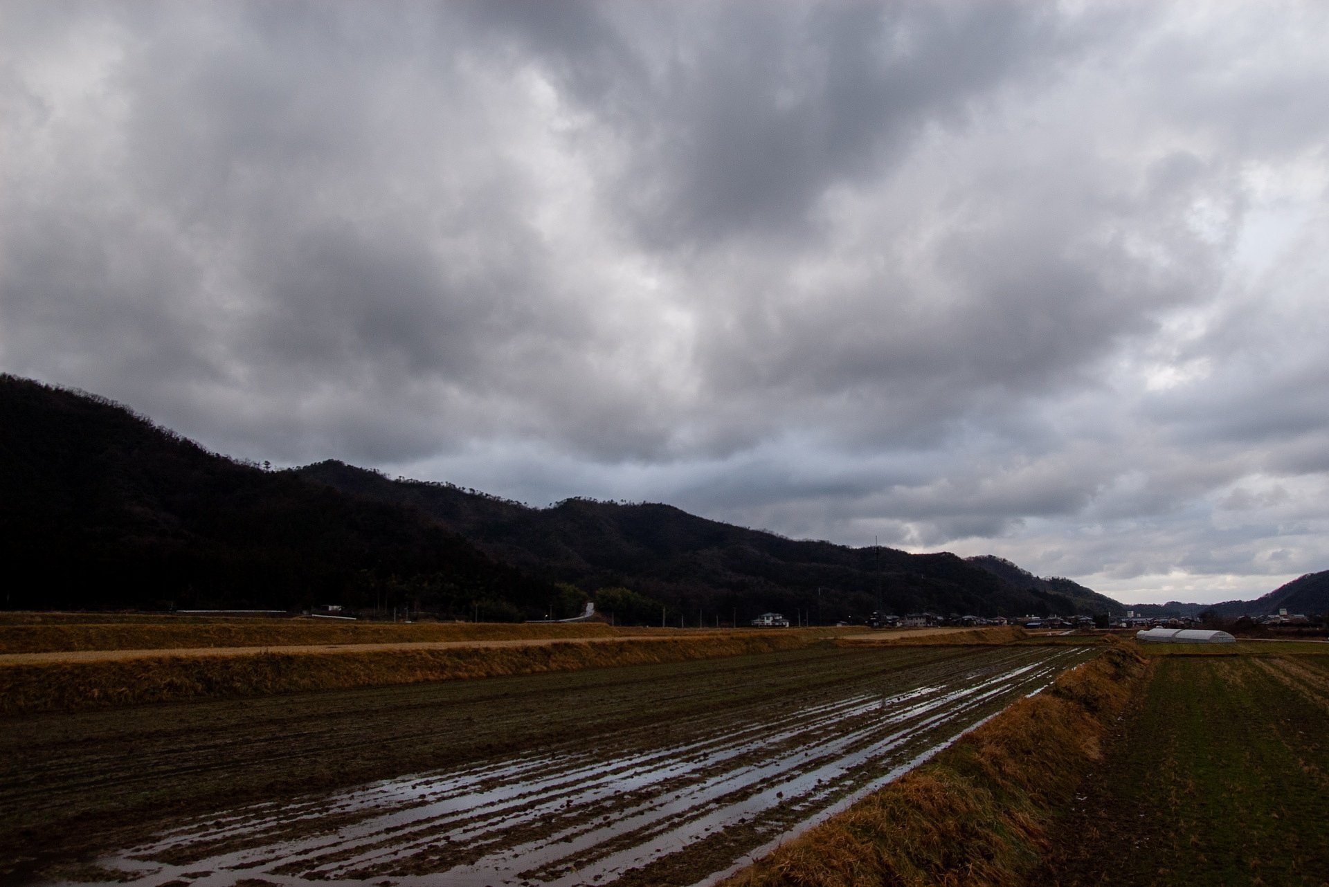 雨は上がったけれど・・。