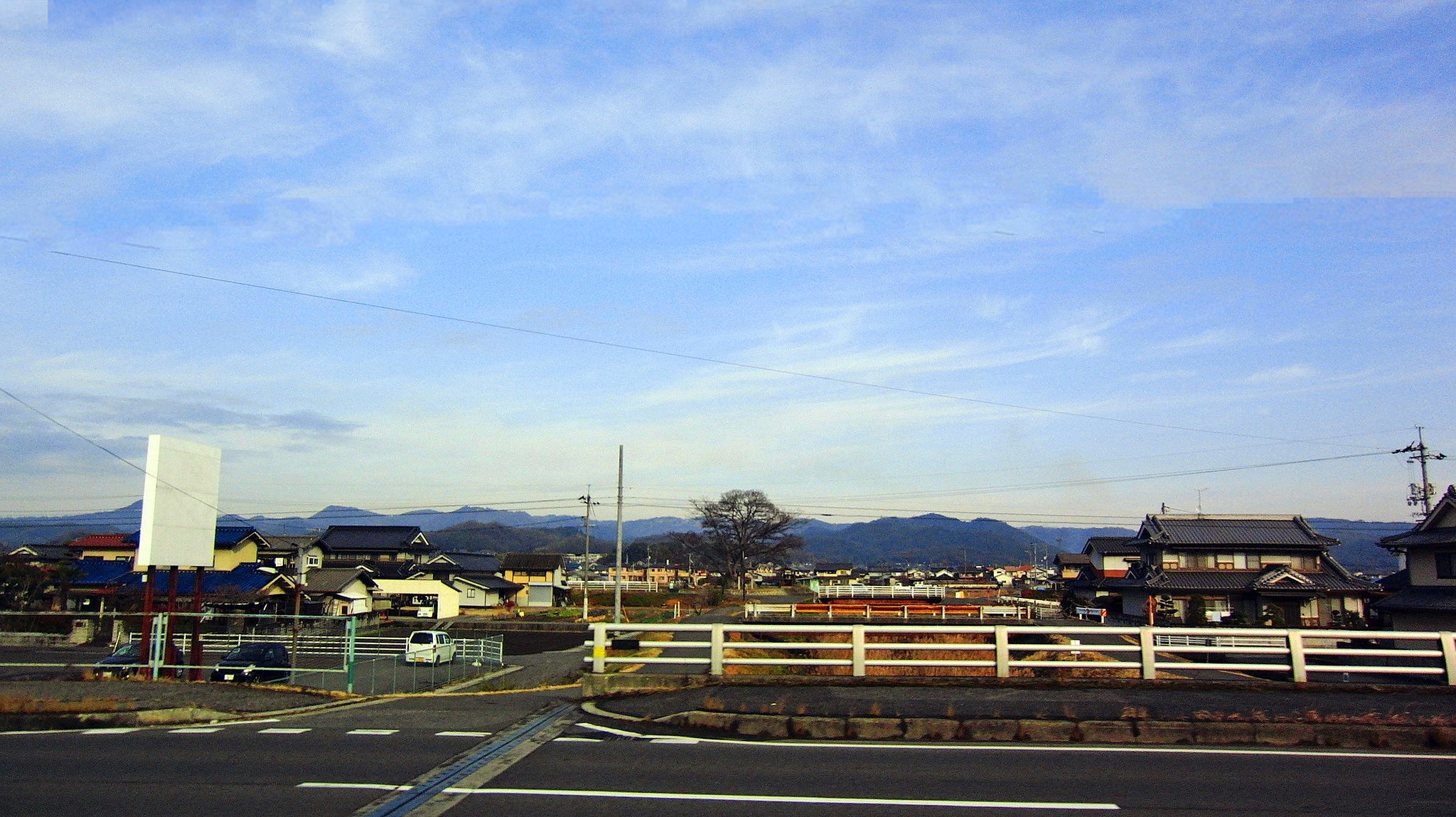 楠の観える風景