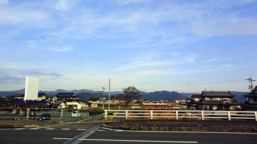 楠の観える風景