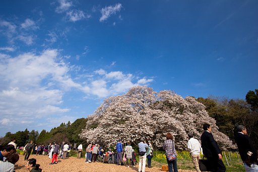 貴重な青空に