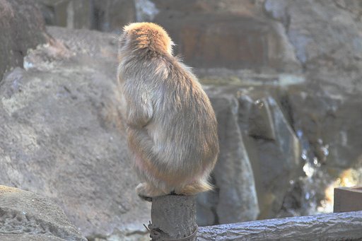 待ち人