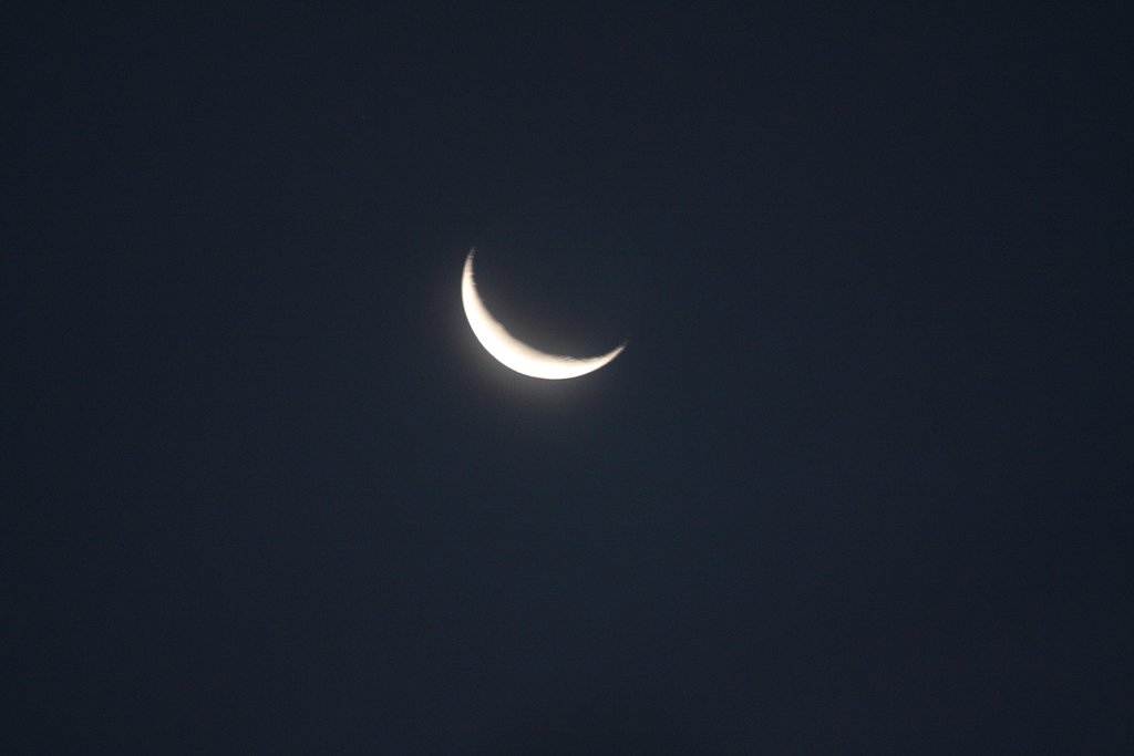 morning moon