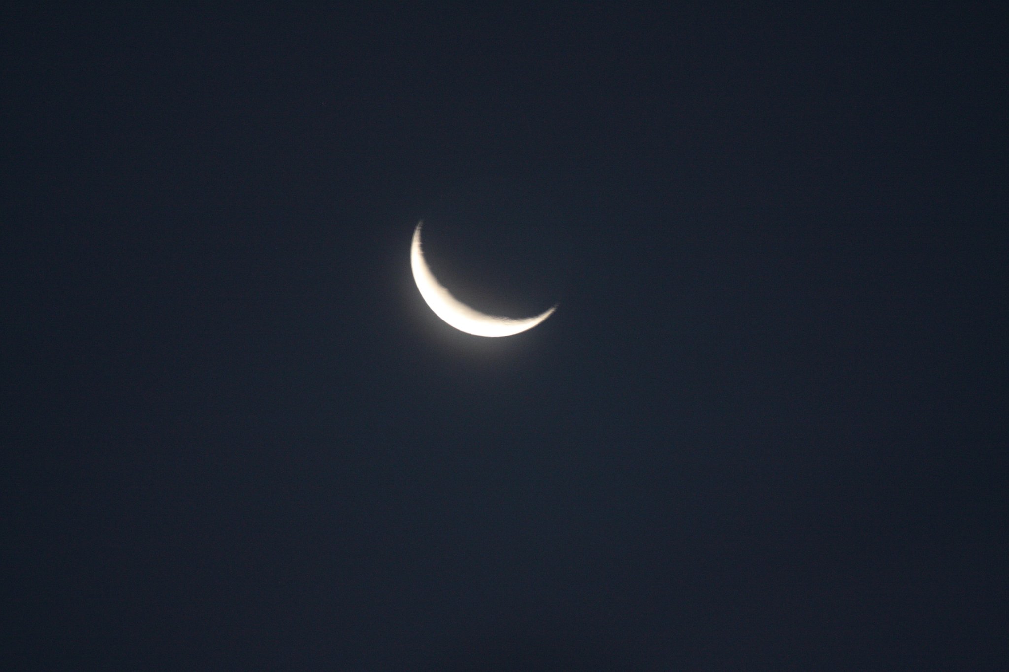 morning moon