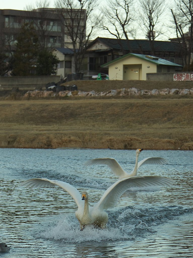 着水