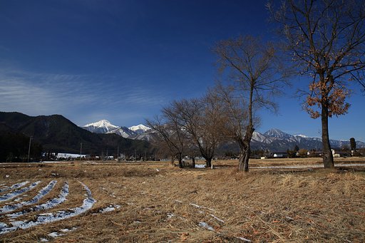 畝と残雪