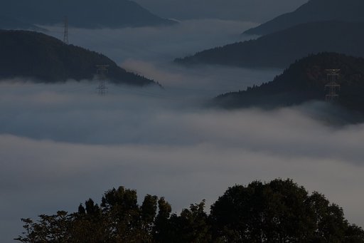 早朝