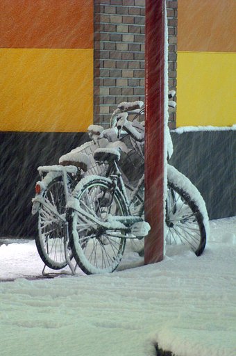 【豪雪１２・２２】置いていく