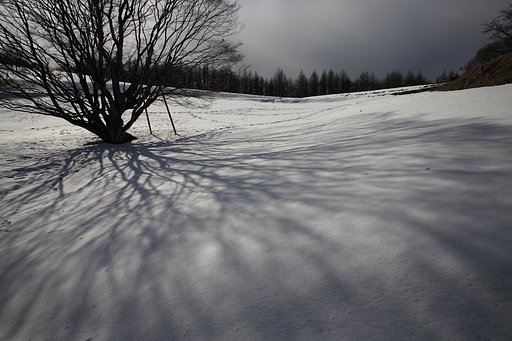 大峰高原の風