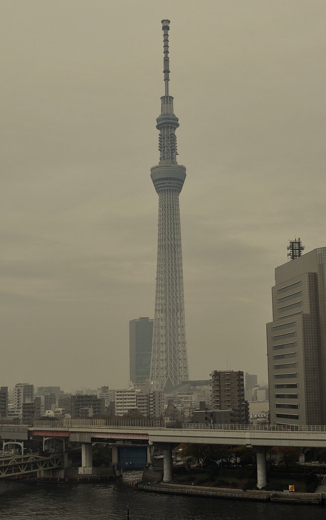 浅草ハレテラスから東京スカイツリー
