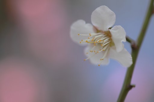 暖かな陽射しに包まれて
