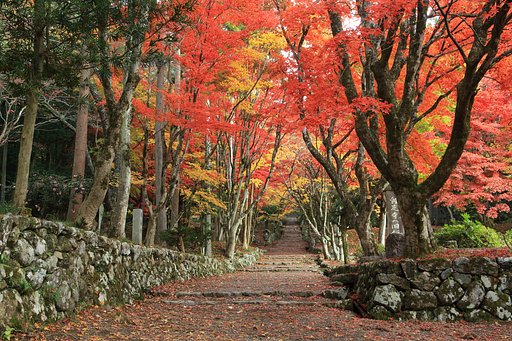 朝の彩り