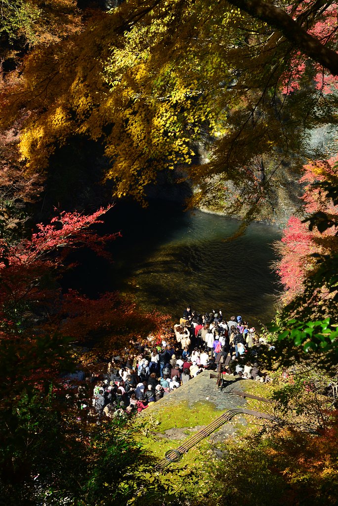 紅葉狩り