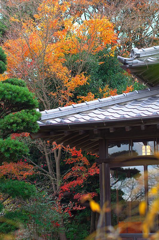 憩いの場