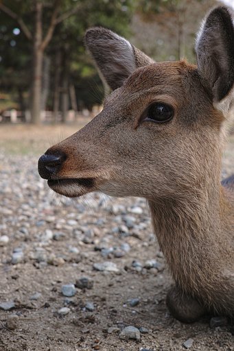 じっとしていてくれ！
