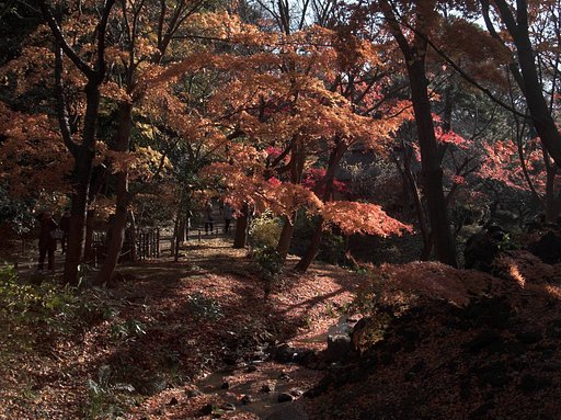 晩秋の三渓園