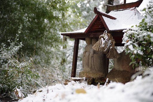雪上がり