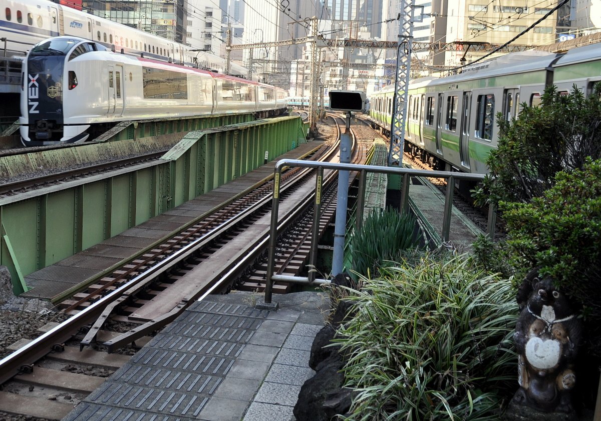 有楽町駅の狸