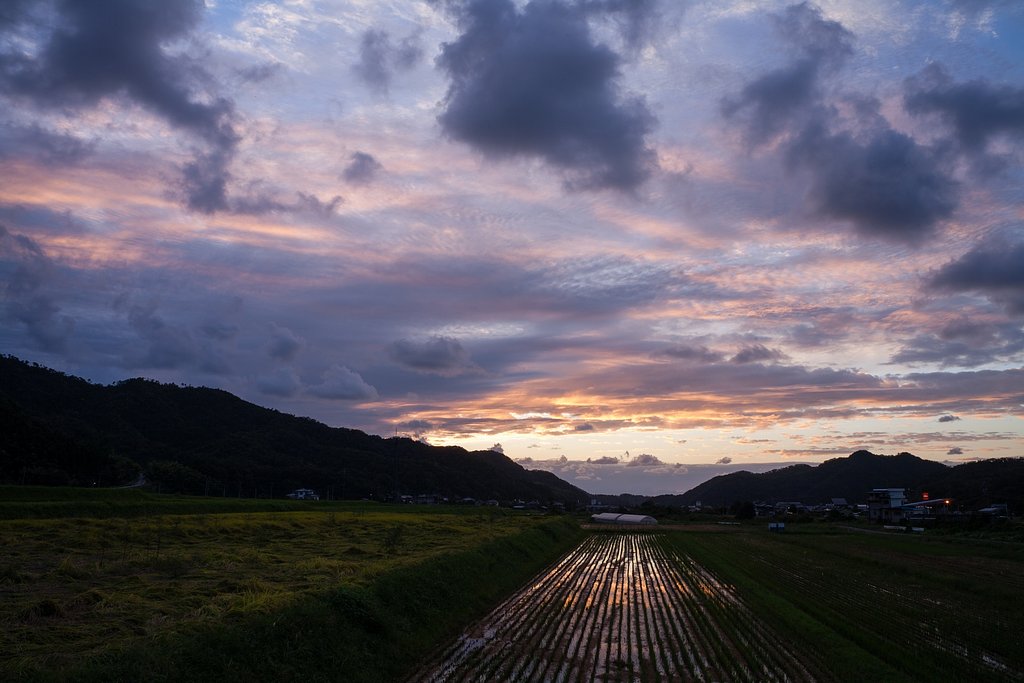 少しだけ夕焼けが・・。