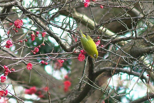 植物公園で