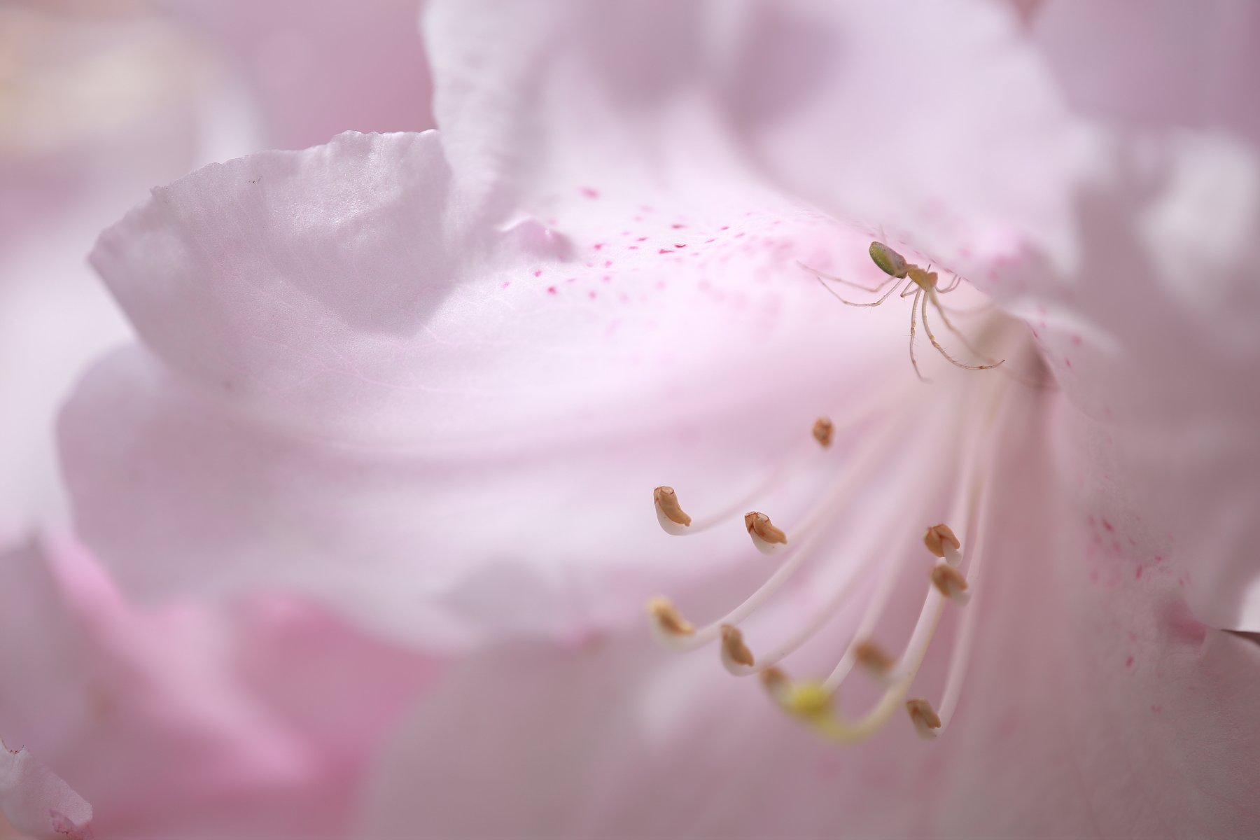 やさしさに包まれて