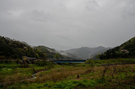 雨降りの朝・・。