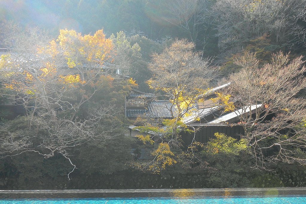 晩秋の光線