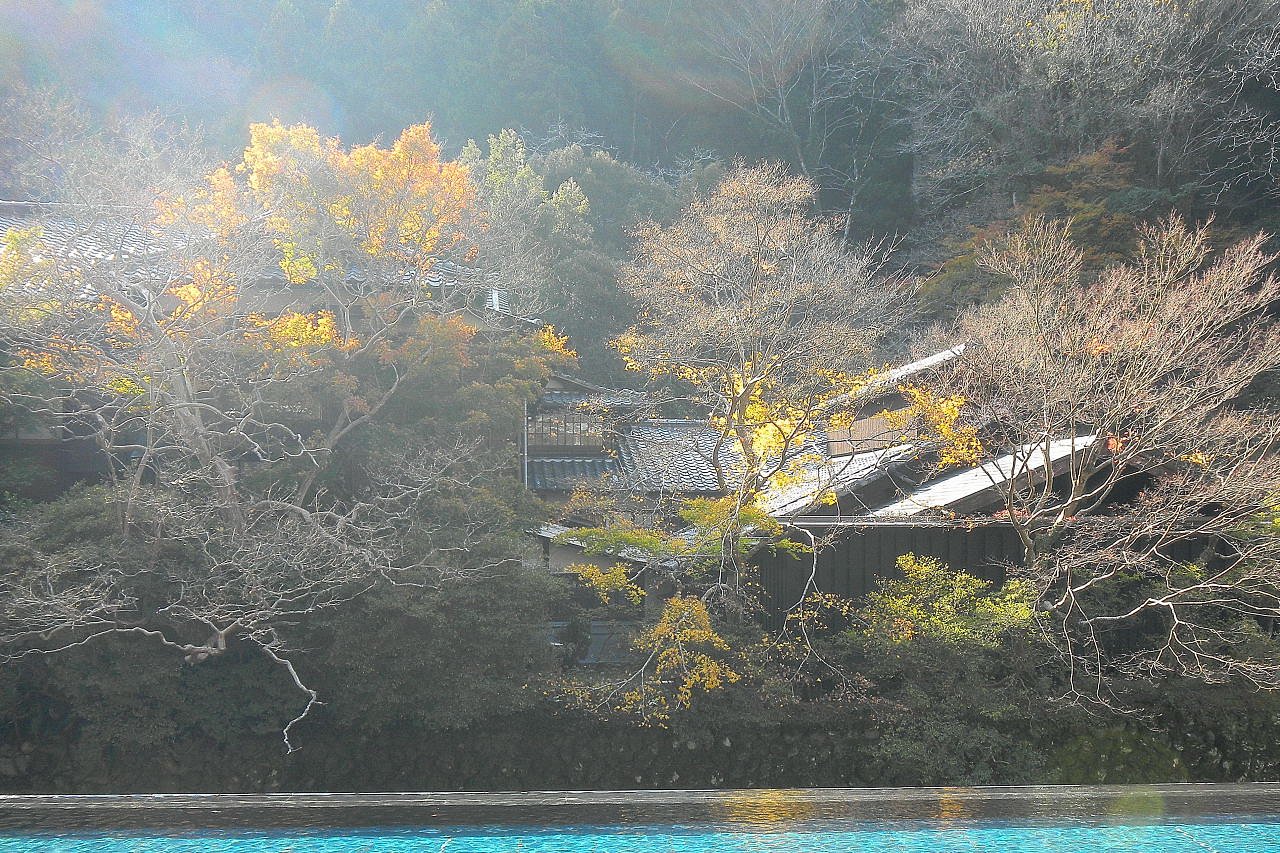 晩秋の光線