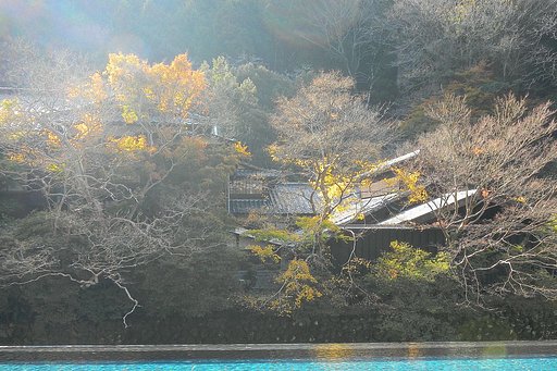 晩秋の光線